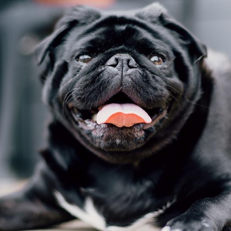 School environment for families in Greenwich, United Kingdom